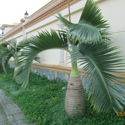 Au-Lac-Villa-6