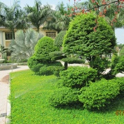 Au-Lac-Villa-8