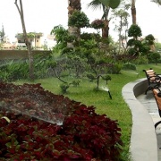 Binh-khanh-1