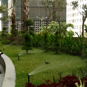 Binh-khanh-6