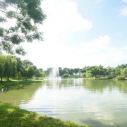 Celadon-City-5