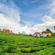 Công-viên-Mộc-Châu-4-1