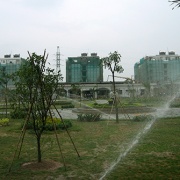 Doosan-Vina-6