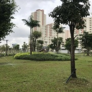 IMG_3774