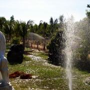 Khu-sinh-thái-Nhơn-Trạch-5