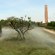 Nghia-trang-lien-sy-binh-thuan-7