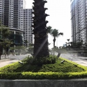 newcity-2