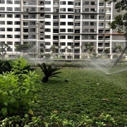 newcity-8
